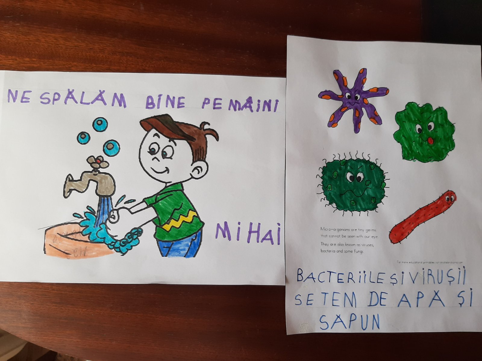 Mîinile curate înseamnă sănătate!